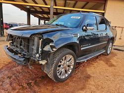 Salvage Trucks for sale at auction: 2007 Cadillac Escalade EXT