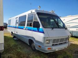 Winnebago Vehiculos salvage en venta: 1989 Winnebago Access
