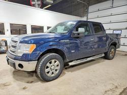 Salvage cars for sale from Copart Blaine, MN: 2013 Ford F150 Supercrew