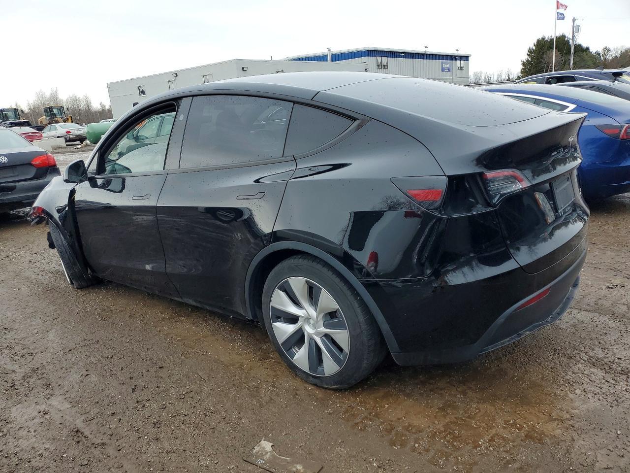 2024 Tesla Model y