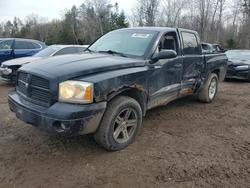 Dodge Vehiculos salvage en venta: 2007 Dodge Dakota Quad SLT