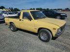 1981 Toyt Pickup