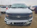 2025 Ford F150 XLT