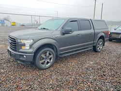 2016 Ford F150 Supercrew for sale in Cicero, IN