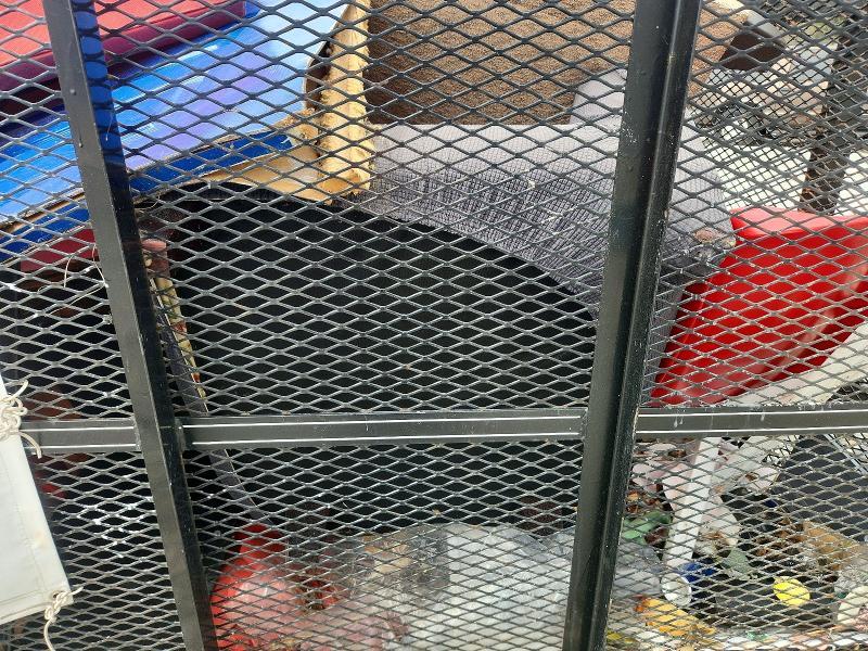 2023 Max Built 82x14 wtb 4FM Utility Trailer