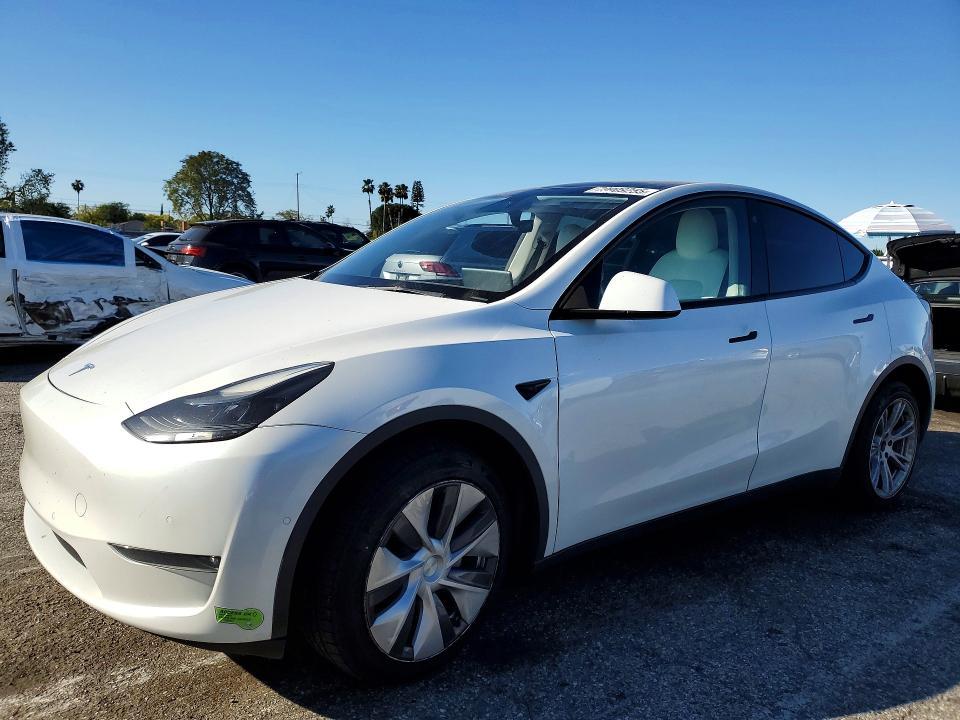 2022 Tesla Model y