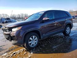 KIA salvage cars for sale: 2011 KIA Sorento lx