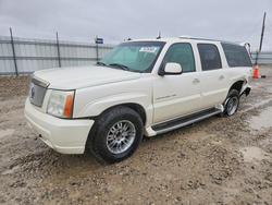 Cadillac Escalade salvage cars for sale: 2003 Cadillac Escalade esv