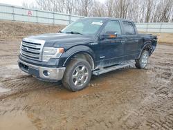 Salvage cars for sale from Copart Davison, MI: 2013 Ford F150 Supercrew