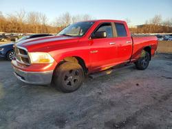 Salvage trucks for sale at Marlboro, NY auction: 2009 Dodge RAM 1500