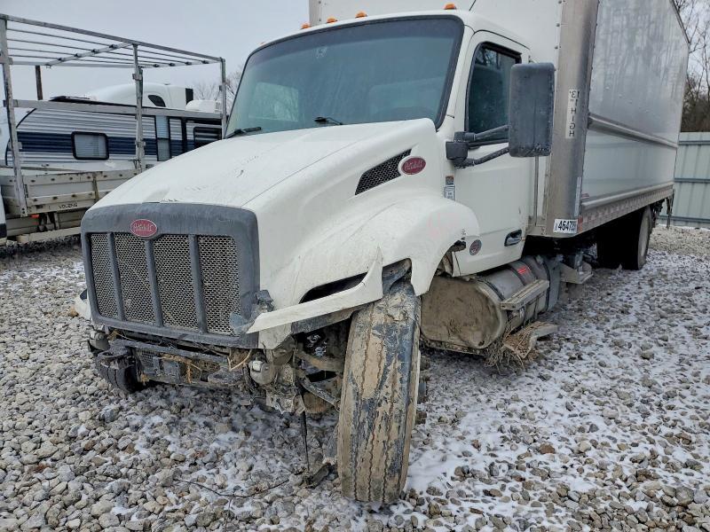 2024 Peterbilt 536 BOX Truck