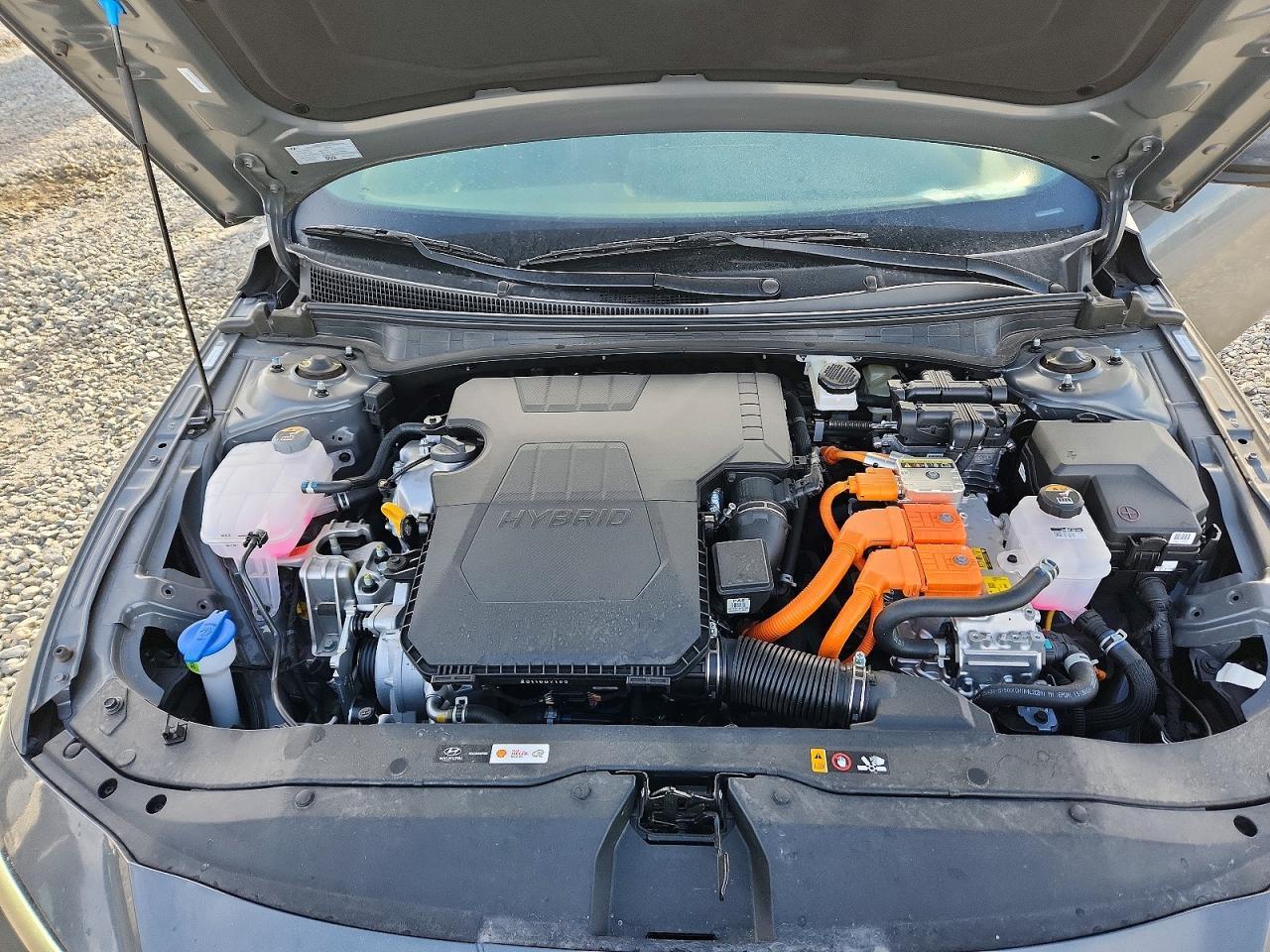 2025 Hyundai Elantra Hybrid sel Sport