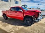 2024 Chevrolet Silverado K1500 Trail Boss Custom