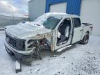 2024 Ford F150 STX