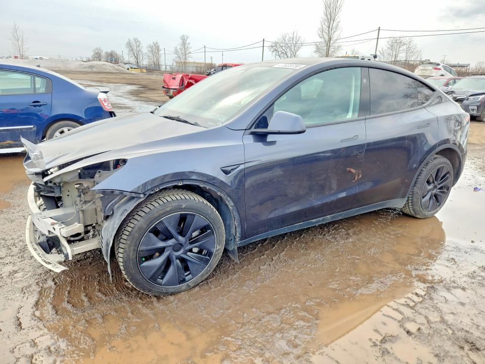 2025 Tesla Model y