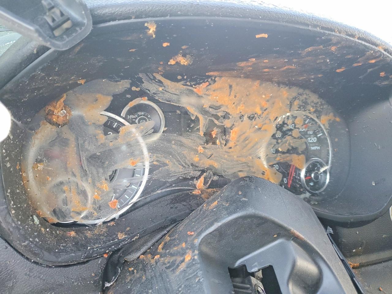 2024 Dodge RAM 2500 Tradesman