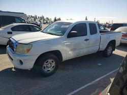 Toyota salvage cars for sale: 2006 Toyota Tacoma Base