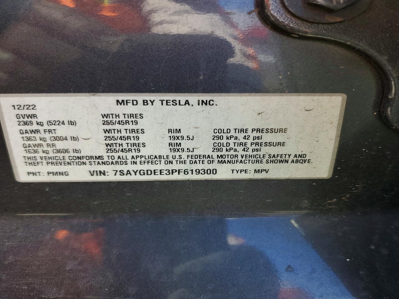 2023 Tesla Model y