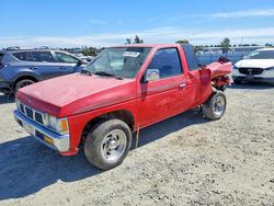 Salvage trucks for sale at Antelope, CA auction: 1997 Nissan Truck XE