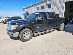 Salvage trucks for sale at Greenwood, NE auction: 2012 Ford F150 Supercrew
