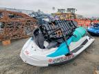 2023 Sea Doo Jetski
