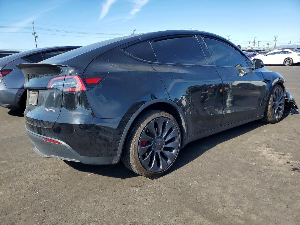 2024 Tesla Model y
