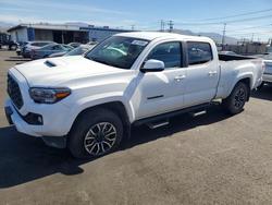 Salvage cars for sale from Copart Sun Valley, CA: 2023 Toyota Tacoma TRD Sport