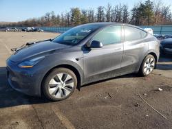 Tesla salvage cars for sale: 2021 Tesla Model y