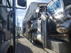 2021 Wilson Hogtrailer Trailer for sale in North Las Vegas, NV