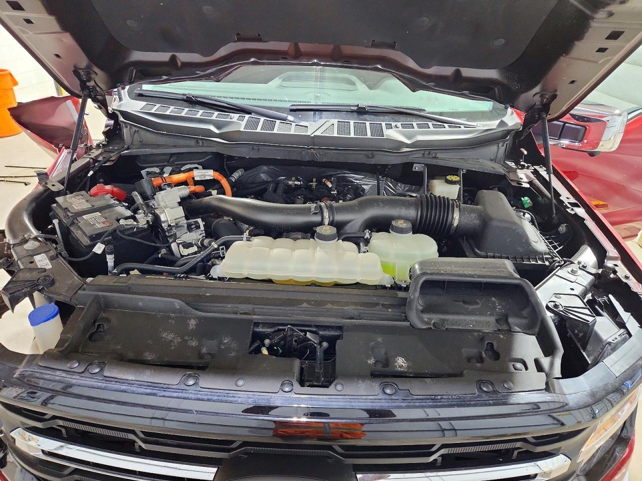 2024 Ford F150 XLT