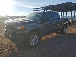 Salvage trucks for sale at Phoenix, AZ auction: 2021 Chevrolet Silverado C1500