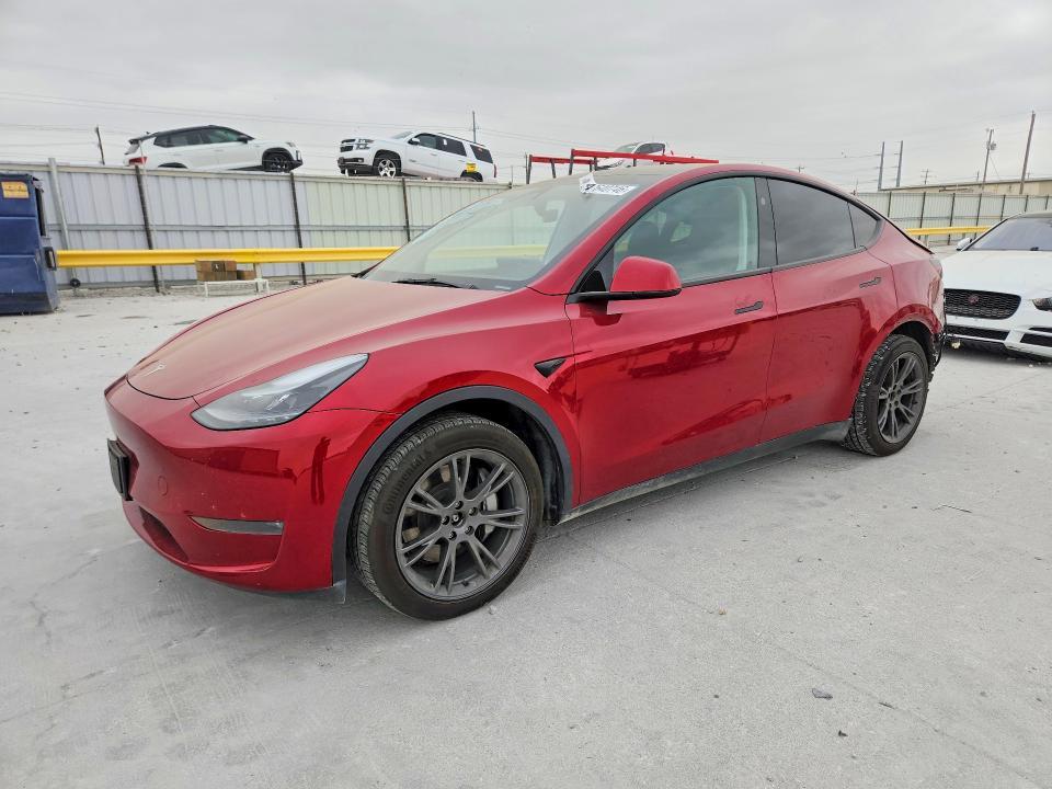 2025 Tesla Model y