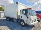 2019 Isuzu NQR BOX Truck
