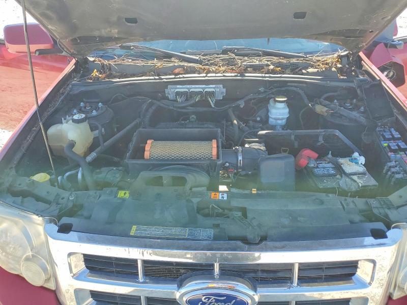 2010 Ford Escape Limited