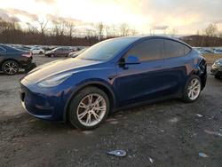 Tesla salvage cars for sale: 2021 Tesla Model y