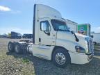 2019 Freigliner 2019 Freightliner Cascadia 125 Semi Truck