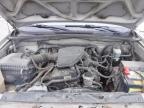 2008 Toyota Tacoma Base