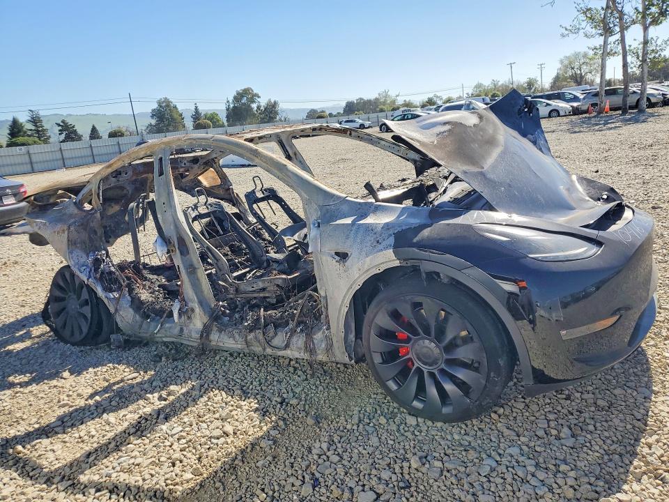 2024 Tesla Model y