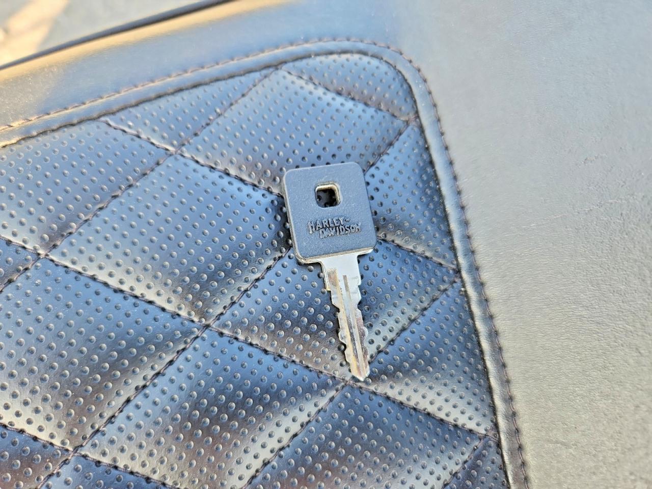 2021 Harley-Davidson XL1200 NS