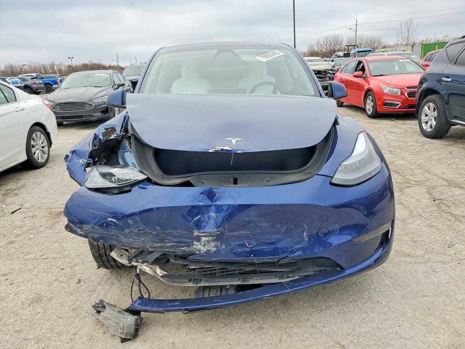 2025 Tesla Model y