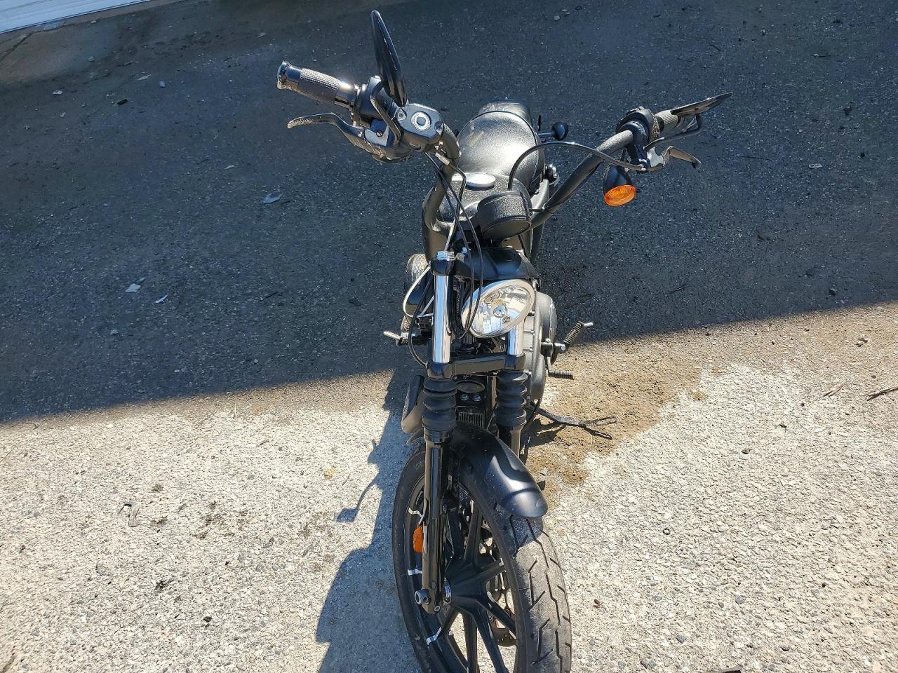 2022 Harley-Davidson XL883 N