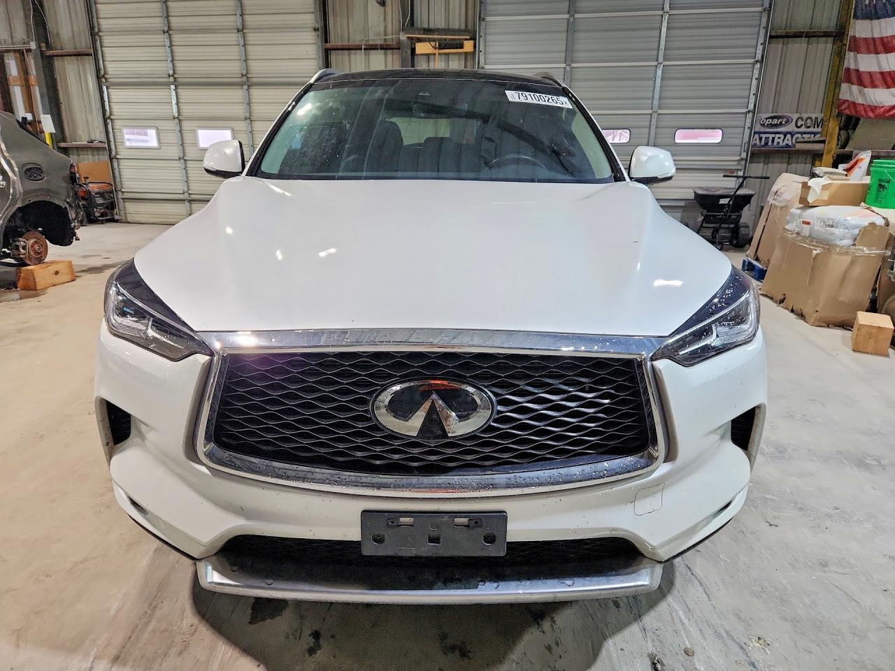 2023 Infinity Qx50 Luxe