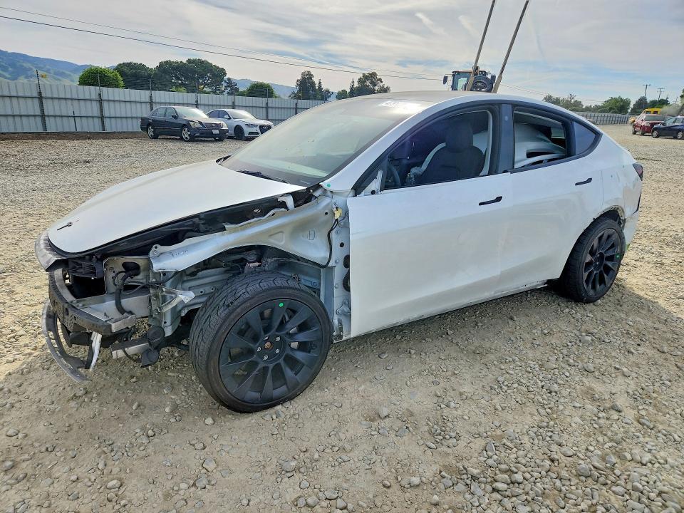 2023 Tesla Y