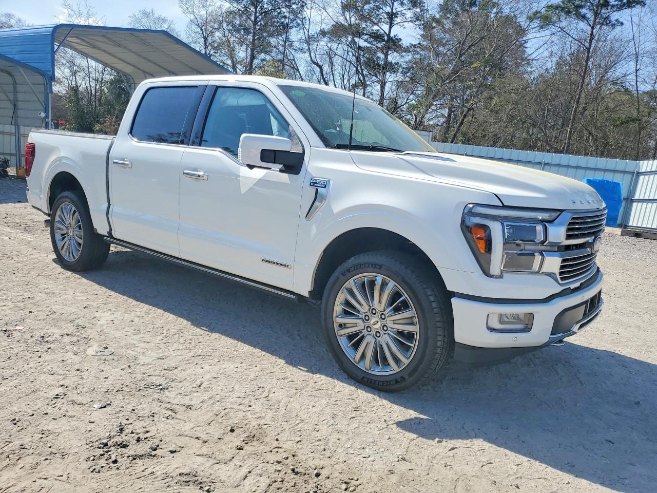 2024 Ford F150 Platinum