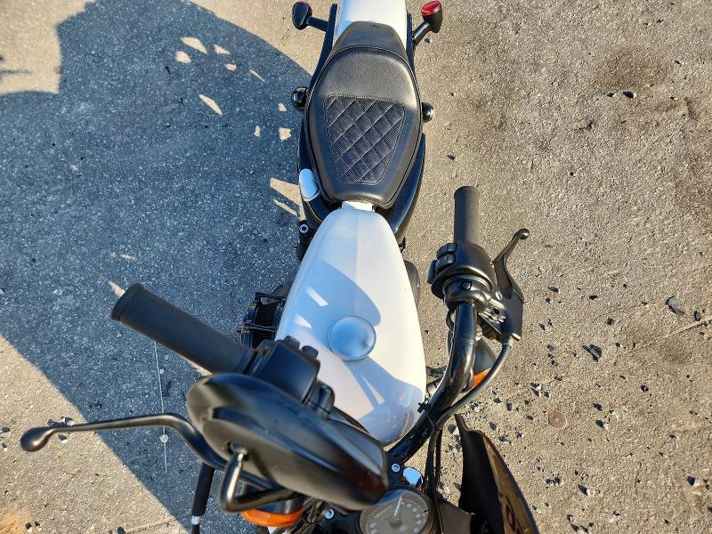 2021 Harley-Davidson XL1200 NS