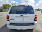 2010 Ford Escape xls