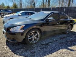 Nissan salvage cars for sale: 2014 Nissan Maxima 3.5 s