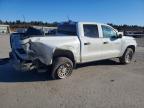 2023 Chev Colorado
