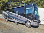2019 Ford F53 RV