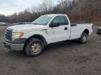 2010 Ford F150